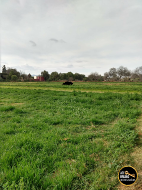 Terreno en Soledad de Graciano Sánchez